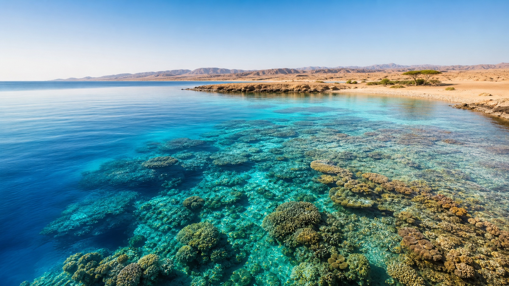 Marsa Alam – helle Küste, Riff und Wüstenhorizont